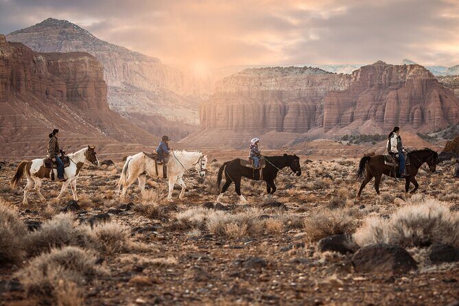 1-Hour Western Horse Ride - What to Expect During Your Horseback Ride