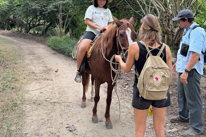 14 Day Beach Paradise Tour in Puerto Escondido Mexico - FAQ