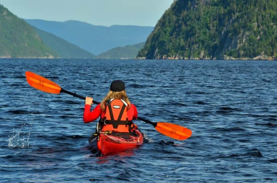 15 min Tadoussac: Guided Sea Kayaking Adventure - The Value of the Experience
