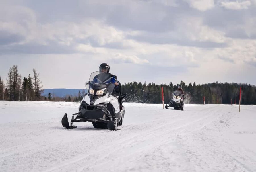15 min. Tadoussac: Snowmobile Expedition in Saguenay Fjord - Who Will Love This Tour?