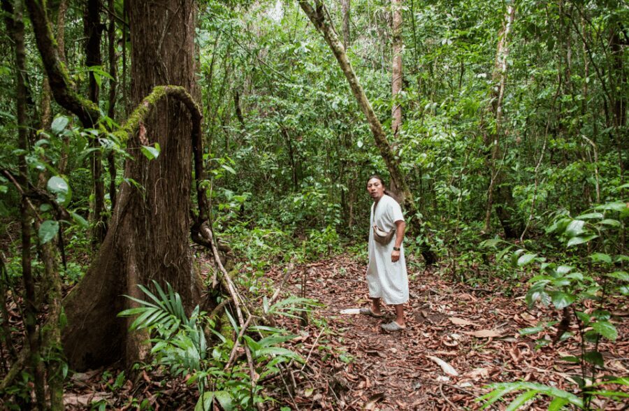 2 Day Lacandon Jungle, the Lost City and Bonampak Ruins - Journey into the Lacandon Jungle and the Lost City of Lacanjá