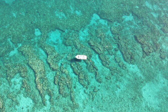 2 Dive Scuba Diving Reef Excursion to Key Largo Marine Sanctuary - Who Is This Tour Best For?