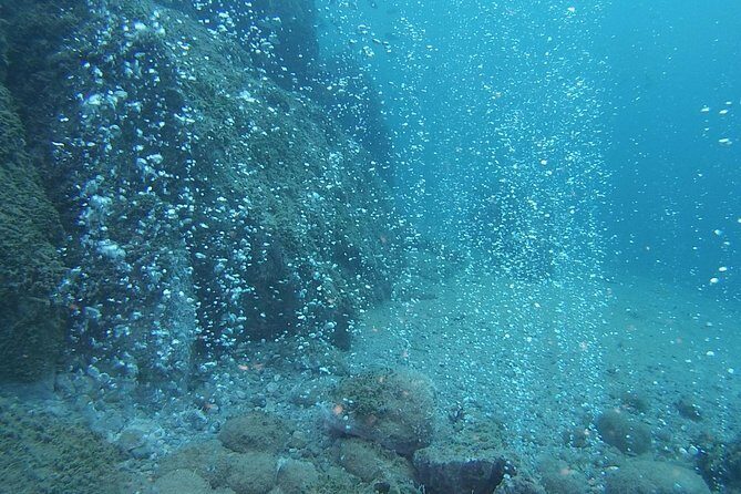 2 Dives Package - Final Thoughts: Is It Worth It?