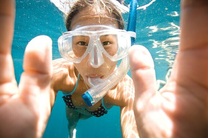 2-Hour Afternoon Snorkeling Experience in Gran Canaria by Boat - Detailed Review of the Experience