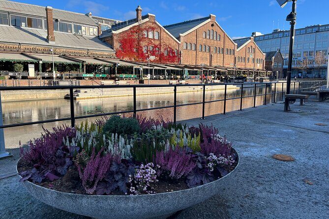 2 Hour City Walk through Trondheim - Practical Details and What You Can Expect