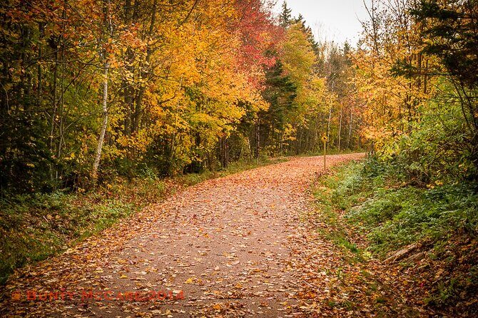 2 Hour E-Bike Tour of Charlottetown - The Itinerary Breakdown