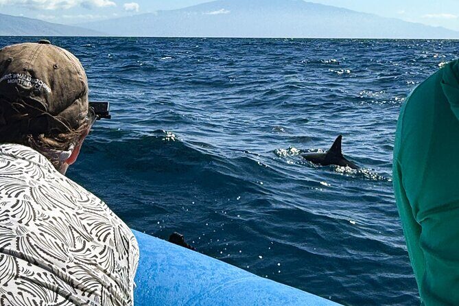 2 Hour Maui Dolphin Watch Sightsee Raft Tour (Semi-Private) - What to Expect from Your Maui Dolphin Watch Tour