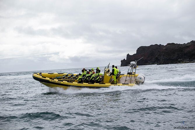 2 hour Round Trip in Vestmannaeyjar on a RIB Boat - The Adventure Begins: From Land to Sea
