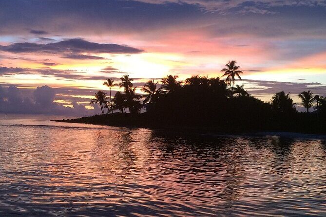 2 Hour Wildlife Adventure - The Itinerary: What to Expect on Your Wildlife Tour