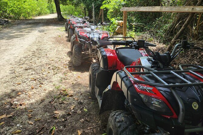 2 Hours ATV Jungle, Caverns and Mayan Ruins Tour - What to Expect: Transportation, Group Size, and Practicalities