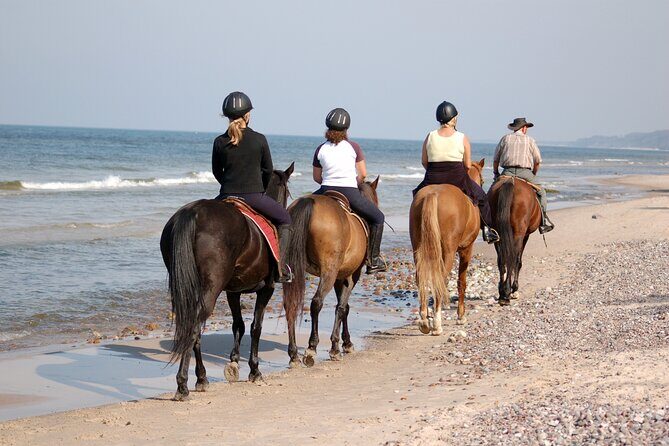 2 hours Horse Riding Excursion near the Beach in Alcúdia bay - Who Will Love This Tour?