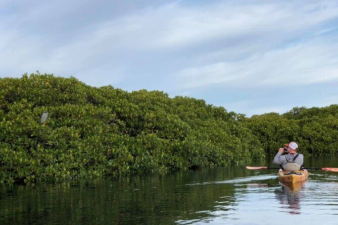 2 Hours of Kayak Safari in Bahía de La Paz - Detailed Review of the Kayak Safari Experience