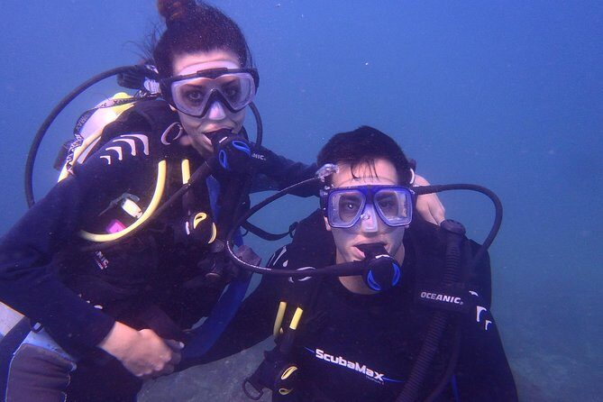 2 Tank Boat Dives for Certified Divers - The Experience: What You Can Expect