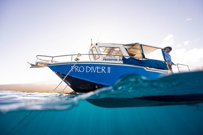 2-Tank Dive Featuring the Molokini Crater - Authentic Experiences and Highlights from Reviews