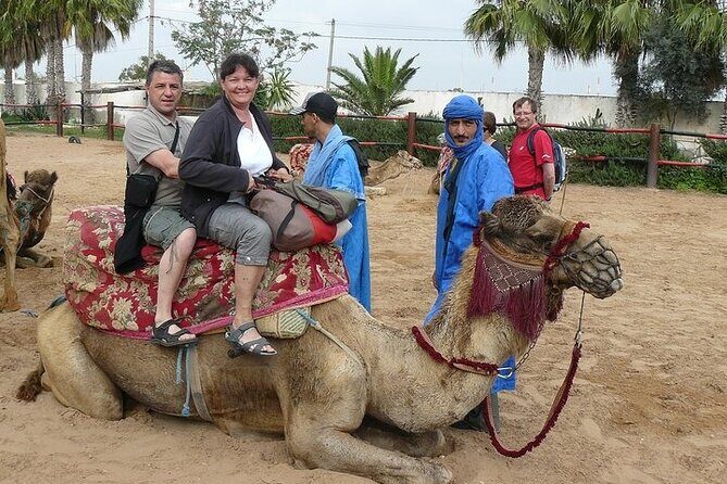 2Hours DE Quad + Comedy EN Tour and Crocoparc Tour - An In-Depth Look at the Tour