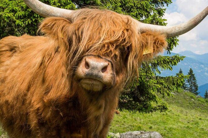 3 Day - Isle of Skye, Loch Ness & Glenfinnan Tour from Edinburgh - Who Will Enjoy This Tour Most?