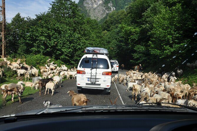 3-Day Svaneti Hiking Tour - Who Will Love This Tour?