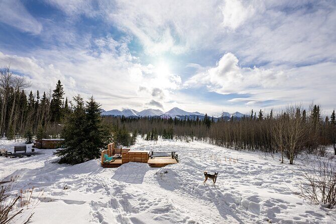 3-day Yukon Northern Lights Adventure - The Sum Up