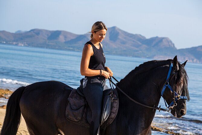 3-Hour Beach Horse Riding to Discover the Beauty of Alcudia Bay - Who Should Consider This Tour?