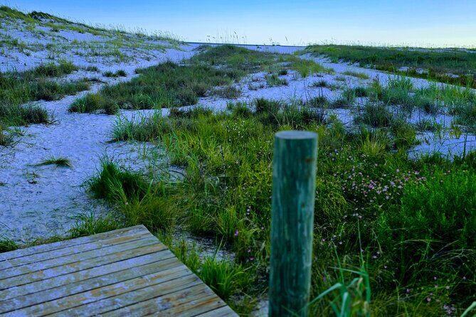 3 Hour Sunset Cruise to Shell Island - Price and Value Considerations