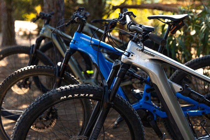 3 Hours e-bike Tour with Wine Tour at Tenuta la Chiusa - Practical Details: What You Need to Know
