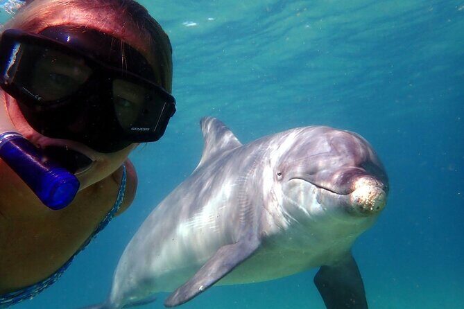 3 Hours Shell Island Experience - The Sum Up: Who Is This Tour Best For?