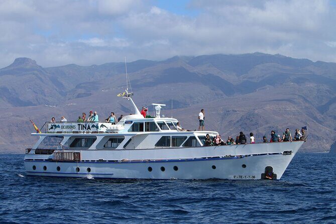 3 hrs Boat Excursion for whale watching from Valle GR (La Gomera) - Practical Tips for Your Trip