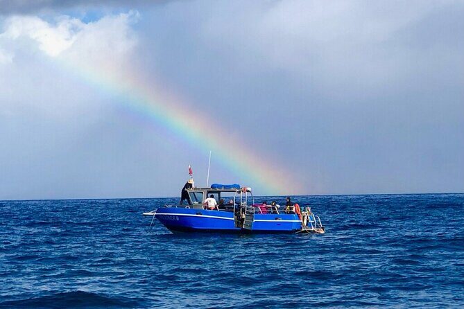 3-Tank Dive Featuring the Molokini Crater - Practical Details and Considerations