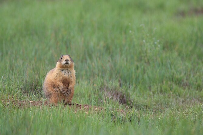 4-Hour, 5-seat ATV Rental next to Bryce National Park - Why Choose This ATV Rental?