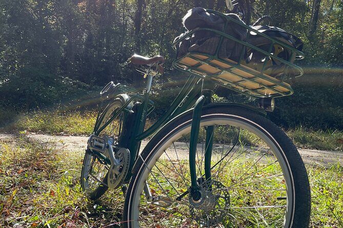 4 Hour Electric Bike Rentals in Asheville - Why This Experience Works for You