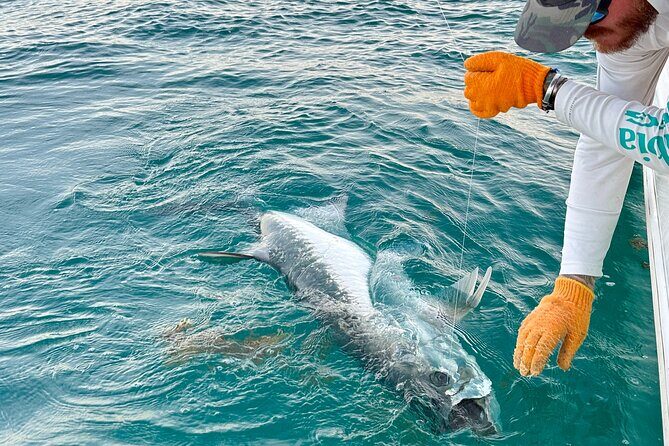 4 Hour Sunset Seasonal Tarpon Charter from Key West - FAQ