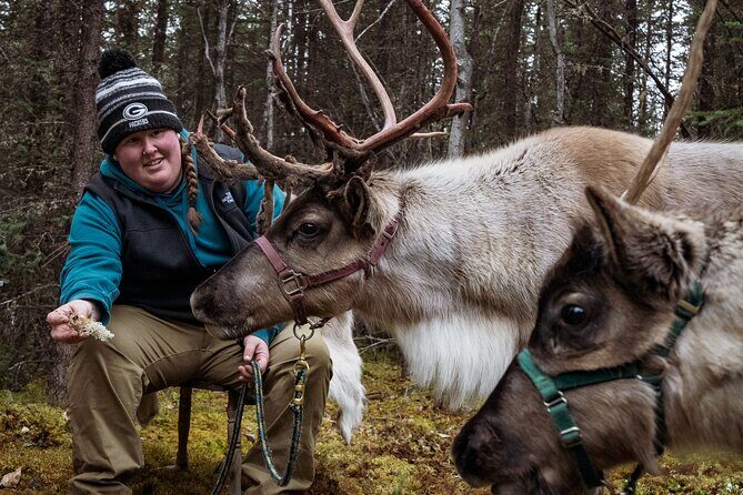 45 Minute Private Reindeer Tour - Why This Tour Offers Good Value