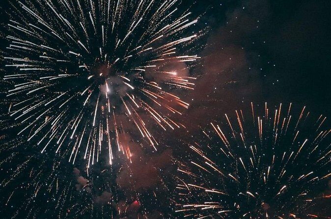 4th of July Fireworks Boat Party - Who Is This Experience Best For?