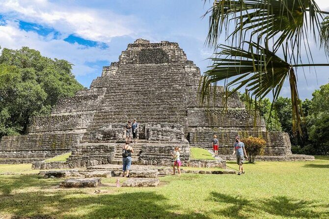 4X1 Tour to Tulum, Coba, Cenote and Playa del Carmen in one day! - Authentic Experiences and Traveler Insights