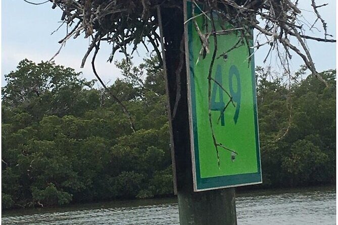 5 Hour Keewaydin Island Beach Tour - Considerations and Limitations