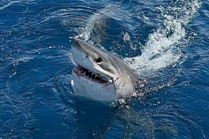 5-Hour Private Sportfishing Charter in Fort Lauderdale - What’s Included and What’s Not?