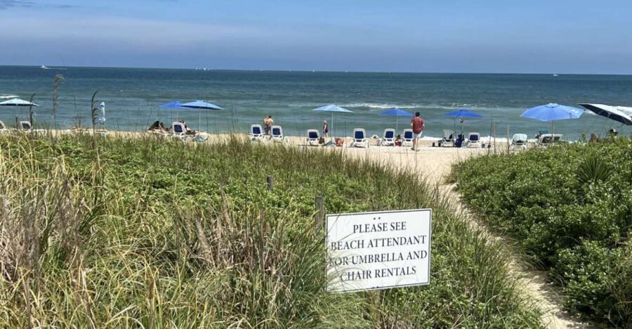 5-Hour Wilmington River to Sea E-Bike Self-Guided Tour - The Sum Up: Who Will Love This Tour?