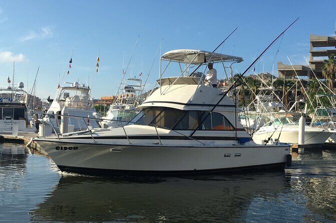 5-Hours Private Fishing Experience in Cruiser in Cabo San Lucas - The Value Perspective