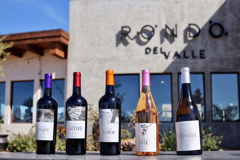 5 wines Tastings with Tour in Valle de Guadalupe Winery - The Wines and Food