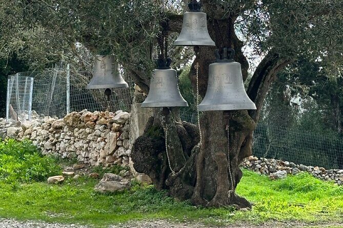 7 Hour Shared 4x4 Off Road Experience in Zakynthos - Deep Dive into the Itinerary