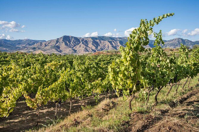 8 Days Private Authentic Sicily Tour - FAQs