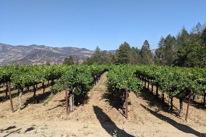 8 Hour Napa and Sonoma Valley tour - Price and Value