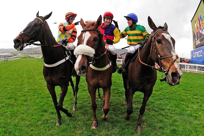 A Day At The Races & the Horse Lovers Tour - Who Will Love This Tour?