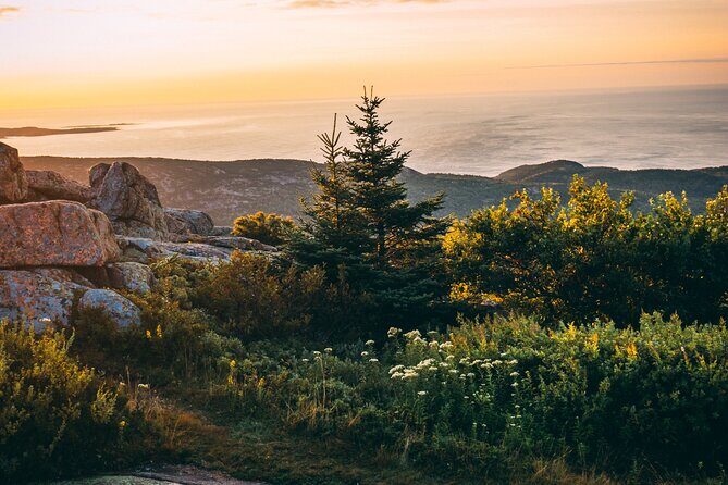 Acadia Cadillac Mountain Sunrise Half Day Private Tour & Hike - Final Thoughts: Is It Worth It?