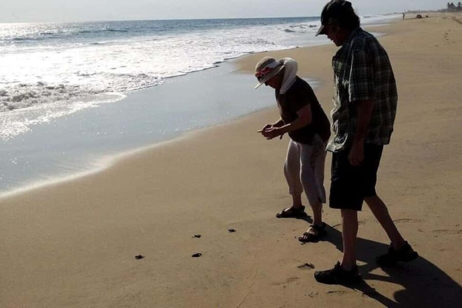 -Acapulco: 6hr City Tour & Turtle Release & High Diver Show - The Experience Quality and Value