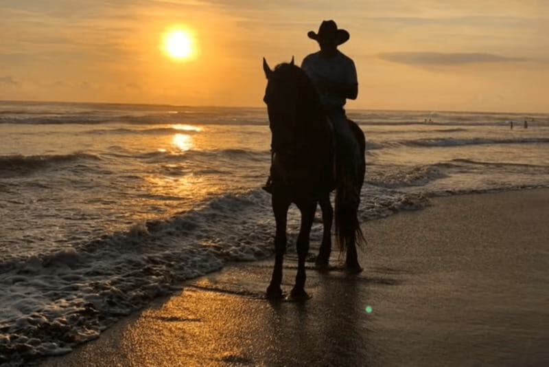 Acapulco: Bonfil Beach Horseback Riding Experience - The Itinerary Breakdown