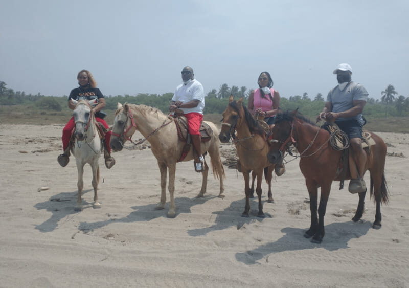 Acapulco: Horseback Riding, Turtle Camp, and Crocodile Tour - Who Will Appreciate This Tour?