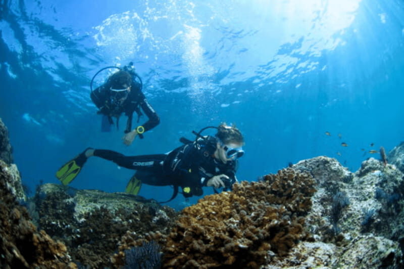 Acapulco: Scuba Diving in Roqueta Island - The Value of This Experience