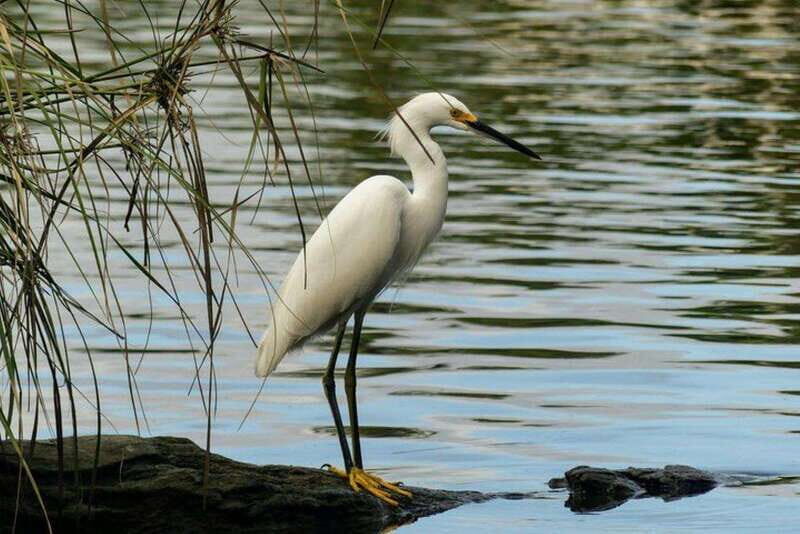 -Acapulco:3 Palos Lagoon Boat Ride& Crocodile Farm Exprience - What Makes This Tour Stand Out?