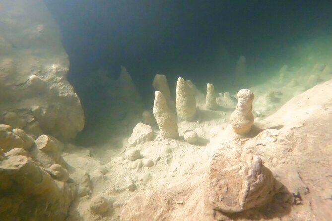 Adventure on the cenote route with zip line and typical lunch - Who Will Love This Tour?